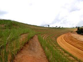 Congo Highway