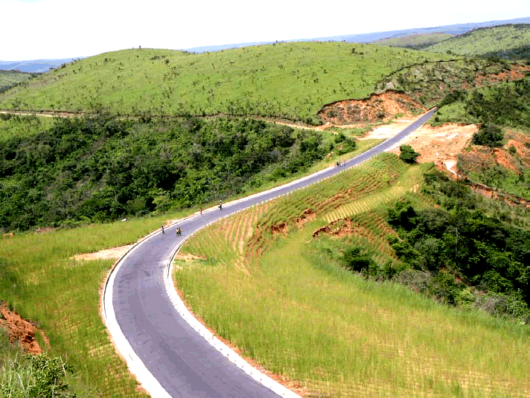 Vetiver planted along Congo highway