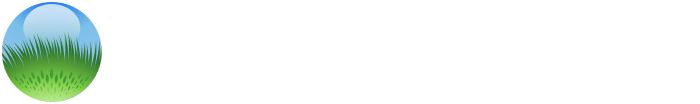 The Vetiver Network International