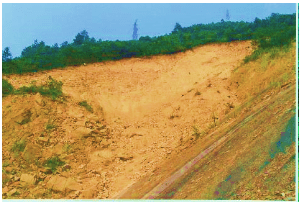 Photo 1: Landslide area before VGT mitigation